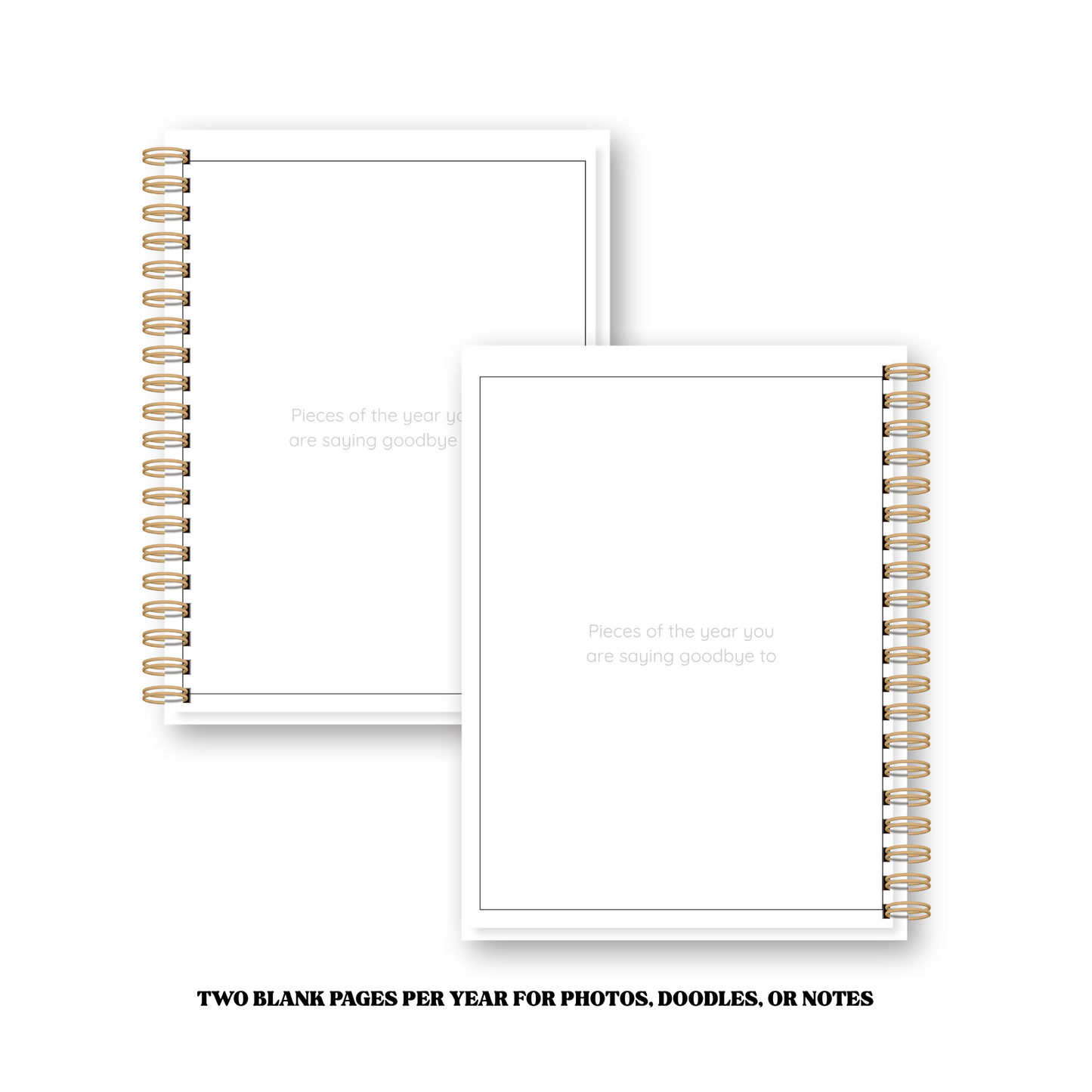 Limited Edition : Recap & Reflect : Your Five Year Journey